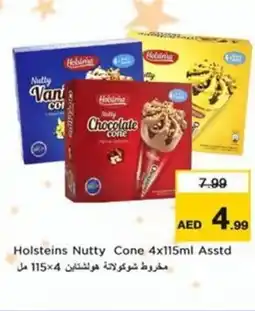 Nesto Holsteins Nutty Cone Asstd offer