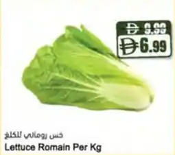 Almaya supermarket Lettuce Romain offer