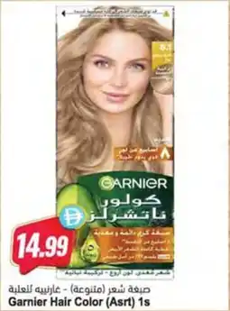 Almaya supermarket Garnier Hair Color (Asrt) 1s offer