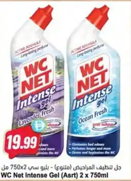 Almaya supermarket WC Net Intense Gel (Asrt) offer