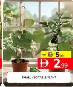 Al Madina Hypermarket Small vegitable plant offer