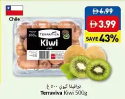 Viva Terraviva kiwi offer