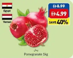 Viva Pomegranate offer