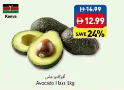 Viva Avocado Hass offer