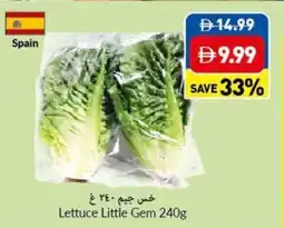 Viva Lettuce Little Gem offer
