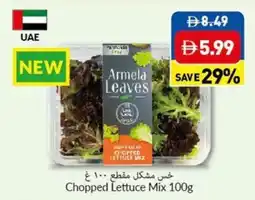 Viva Chopped lettuce mix offer