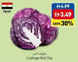 Viva Cabbage Red offer