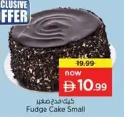 Nesto Fudge Cake Small offer