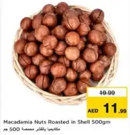 Nesto Macadamia Nuts Roasted in Shell offer