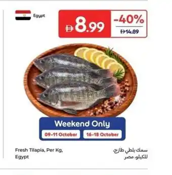 Fresh Tilapia, Egypt