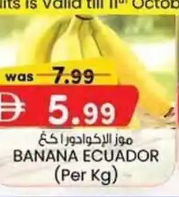KM Trading Banana ecuador offer