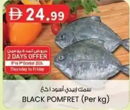 KM Trading Black pomfret offer
