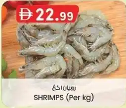 KM Trading Shrimps offer