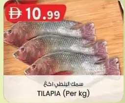 KM Trading Tilapia offer
