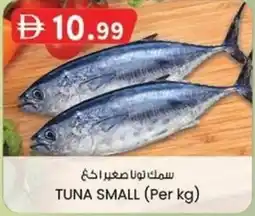 KM Trading Tuna small offer