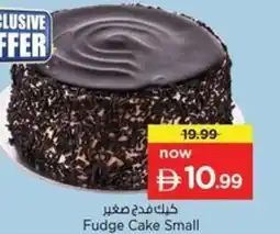 Nesto Fudge Cake Small offer
