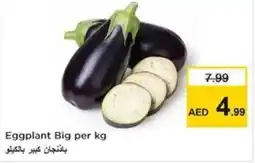 Nesto Eggplant Big offer