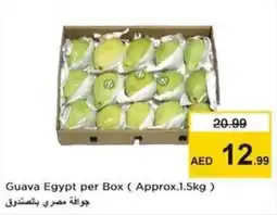 Nesto Guava Egypt per Box offer