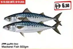 Almaya supermarket Mackerel Fish offer