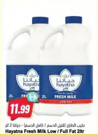 Hayatna Fresh Milk Low/ Full Fat