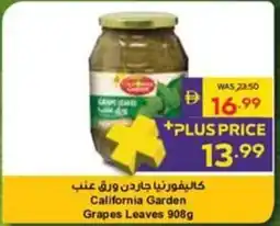 Megamart California Garden Grapes Leaves offer