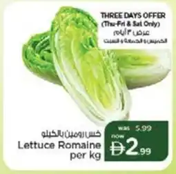 Nesto Lettuce Romaine offer