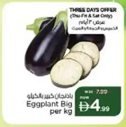 Nesto Eggplant Big offer