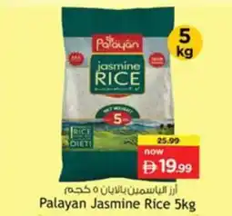 Nesto Palayan Jasmine Rice offer