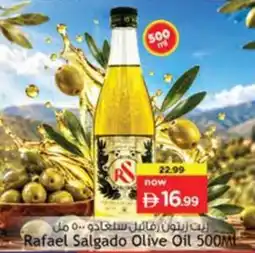 Nesto Rafael Salgado Olive Oil offer