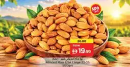 Nesto Almond Raw USA Large 23-25 offer
