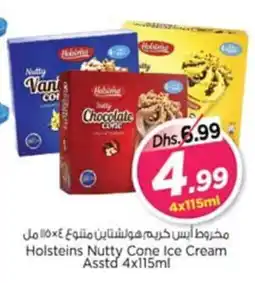 Nesto Holsteins Nutty Cone Ice Cream offer