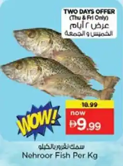 Nesto Nehroor Fish offer