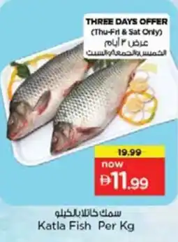 Nesto Katla Fish offer