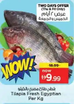Nesto Tilapia Fresh Egyptian offer