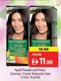Nesto Garnier Color Natural Hair Color offer