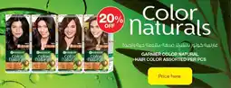 Nesto Garnier color natural hair color offer
