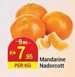 New W Mart Mandarine Nadorcott offer