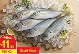 New W Mart Scad Fish offer