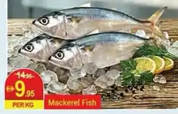 New W Mart Mackerel Fish offer