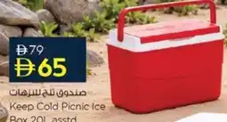 Nesto Keep Cold Picnic Ice Box asstd. offer