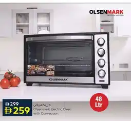 Nesto Olsenmark Electric Oven with Convection. offer