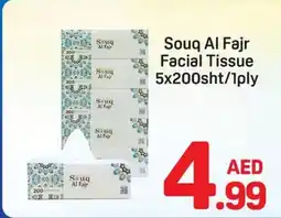 Day To Day Souq Al Fajr Facial Tissue offer