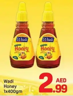 Day To Day Wadi Honey offer