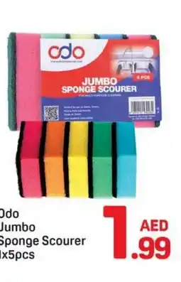 Day To Day Odo Jumbo Sponge Scourer offer