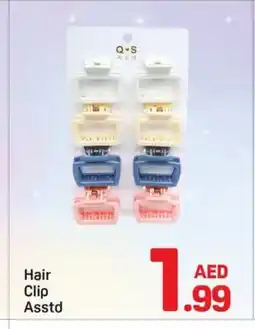 Day To Day Hair Clip Asstd offer
