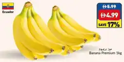 Viva Banana Premium offer