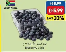 Viva Blueberry offer