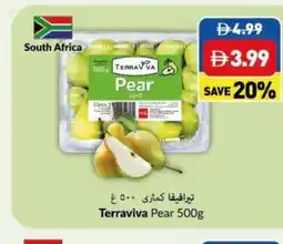 Viva Terraviva Pear offer