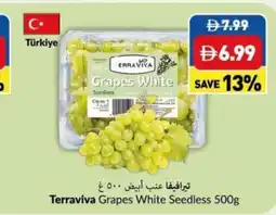 Viva Terraviva Grapes White Seedless offer