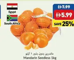 Viva Mandarin Seedless offer